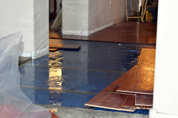 Professional Burst Pipe Cleanup technician working in Ottine, TX